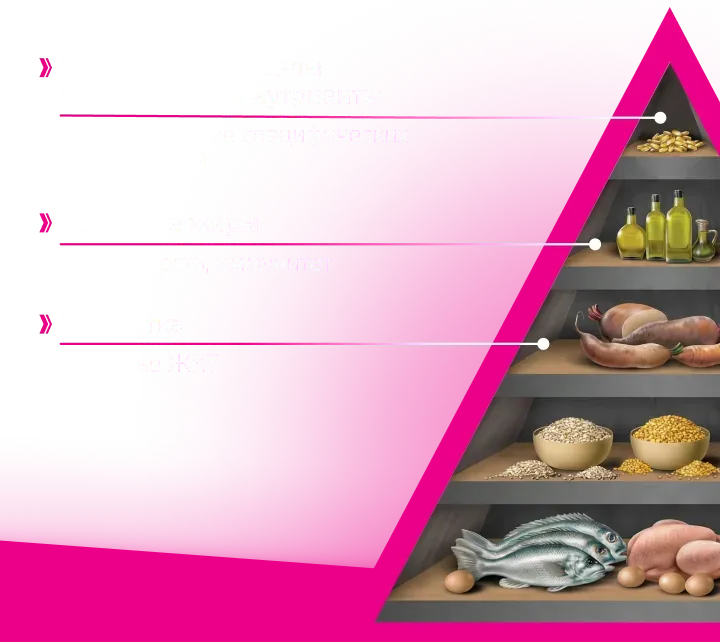 Пирамида состава корма