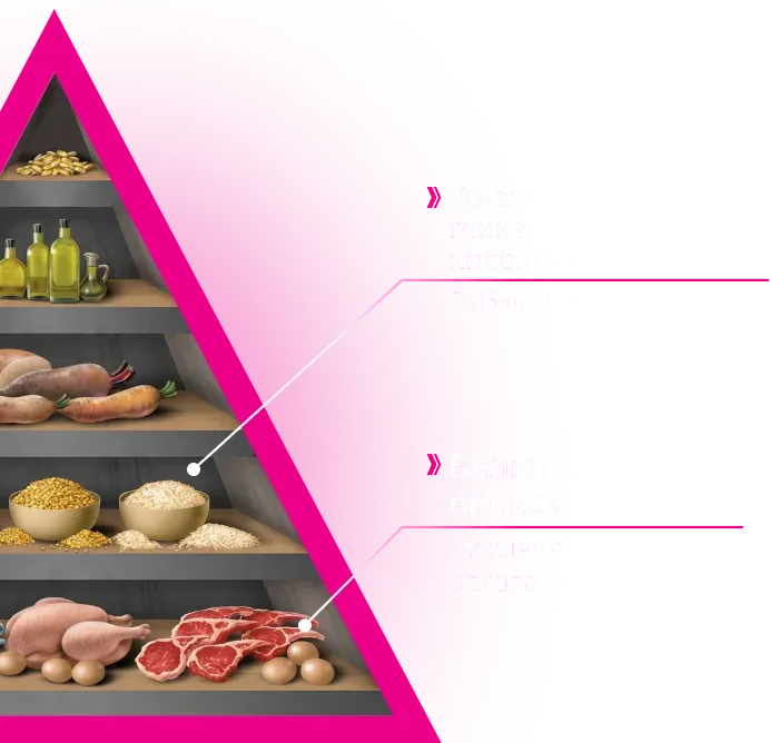 Пирамида состава корма