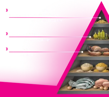 Пирамида состава корма